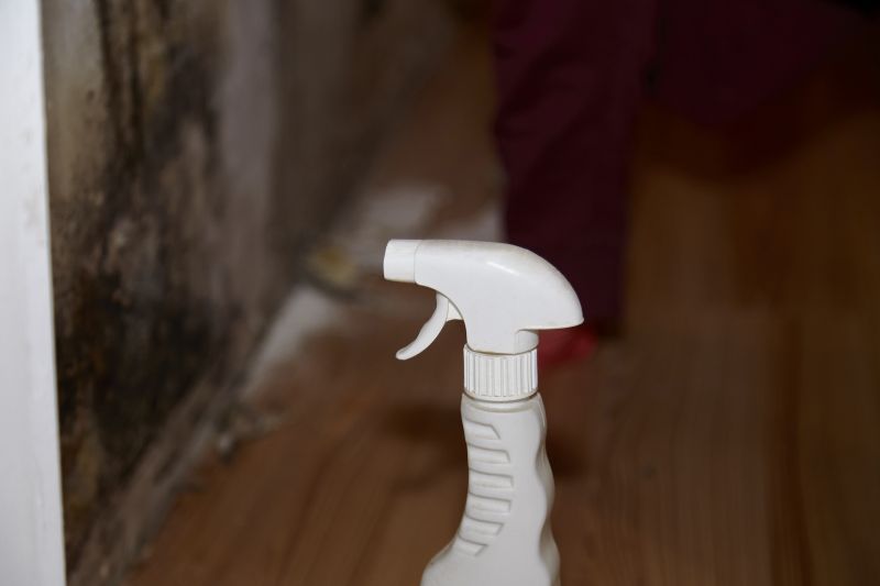 Air Duct Mold Removal in Bergen County, NJ