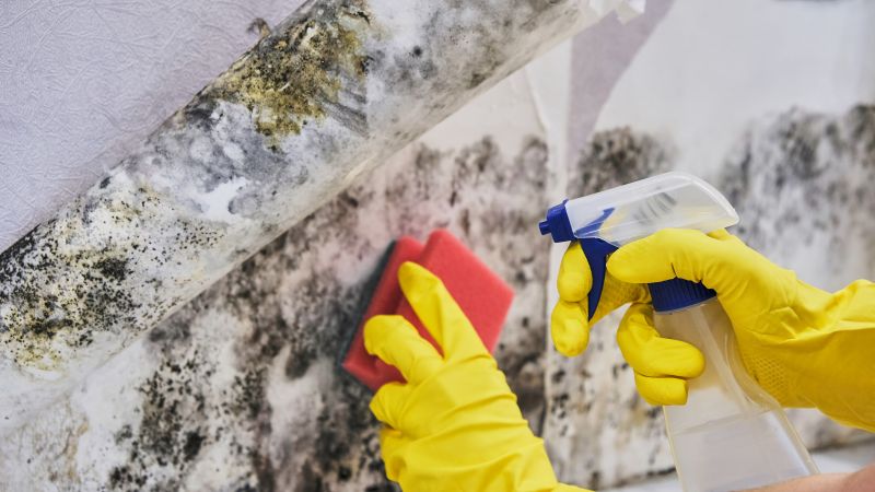 Air Duct Mold Removal in West Palm Beach, FL