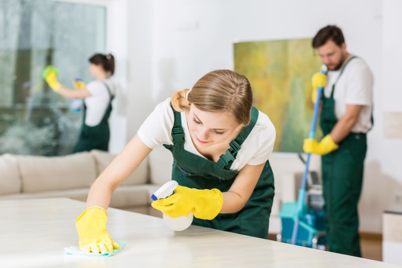 Basement Cleaning Service in Puyallup, WA