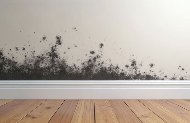 Basement Mold Removal in Boca Raton, FL