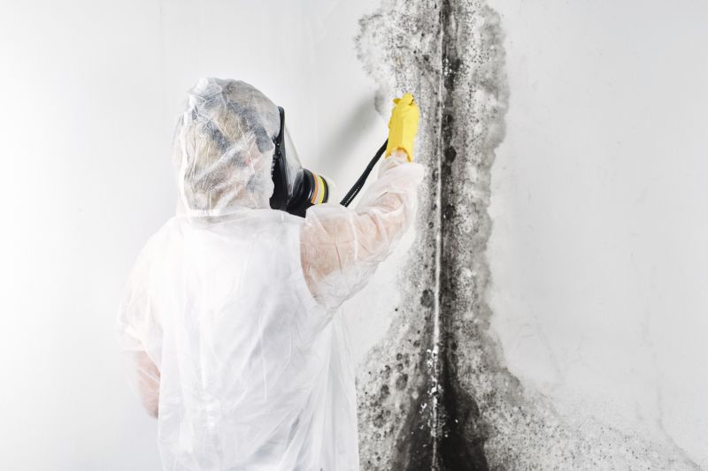 Basement Mold Removal in Frisco, TX