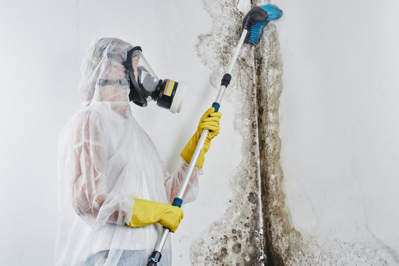 Basement Mold Removal in Essex County, NJ