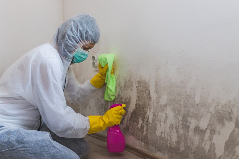 Black Mold Remediation in Broward County, FL