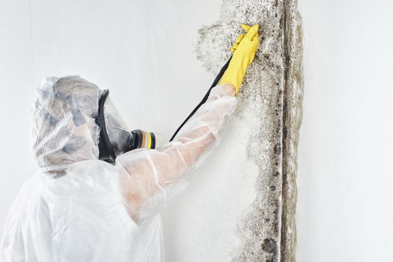 Black Mold Removal in Boca Raton, FL