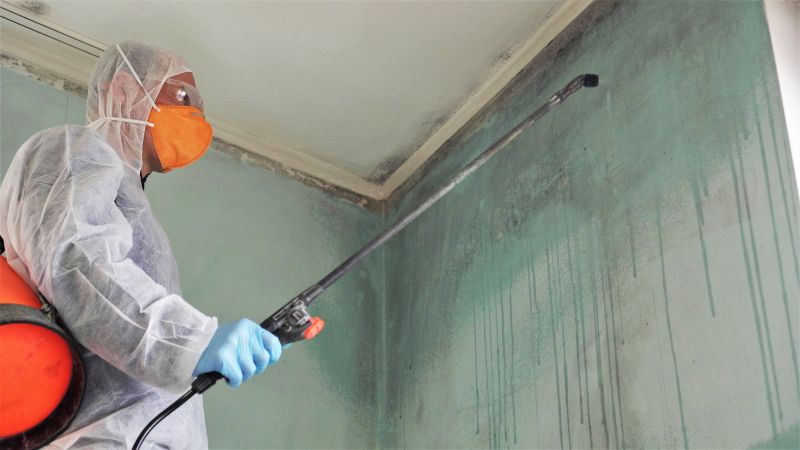 Ceiling Mold Removal in Essex County, NJ