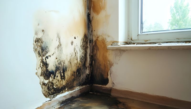 Garage Mold Remediation in Essex County, NJ
