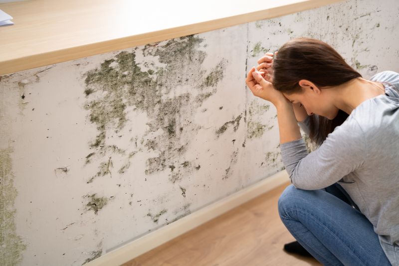Mold Abatement in Plano, TX