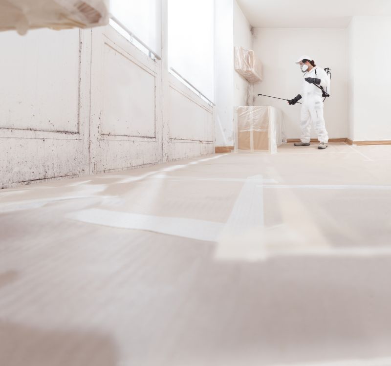 Mold Cleanup Service in Broward County, FL