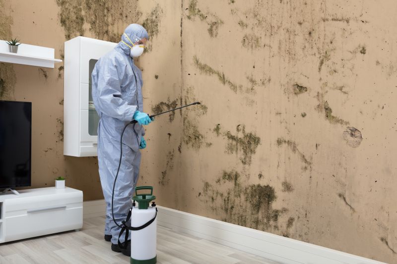 Mold Control in Mckinney, TX