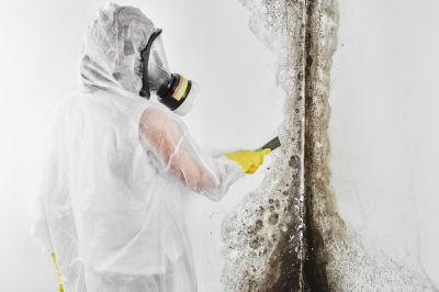 Mold Inspection And Removal in Mckinney, TX