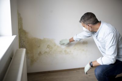 Mold Mitigation Service in Fort Lauderdale, FL
