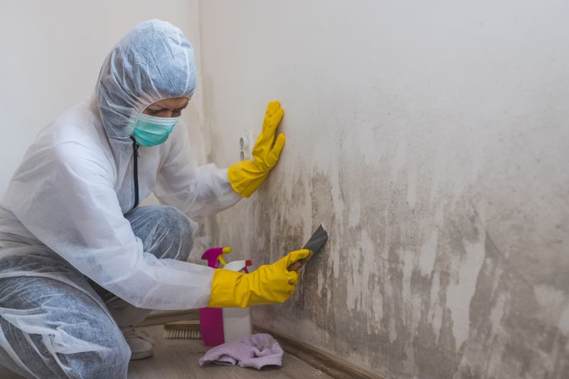 Mold Mitigation Service in Dallas, TX