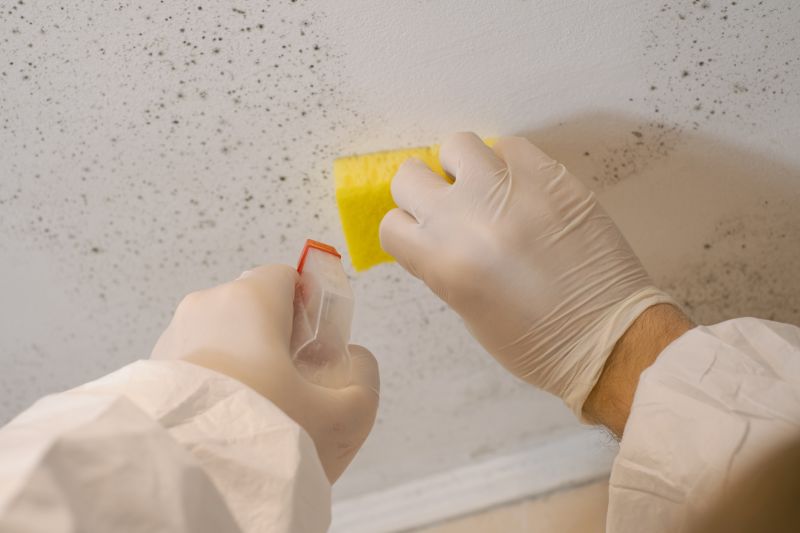 Mold Remediation Service in Bergen County, NJ