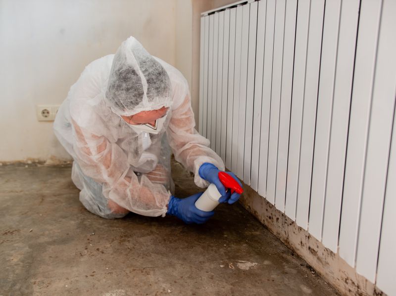 Mold Removal in Frisco, TX