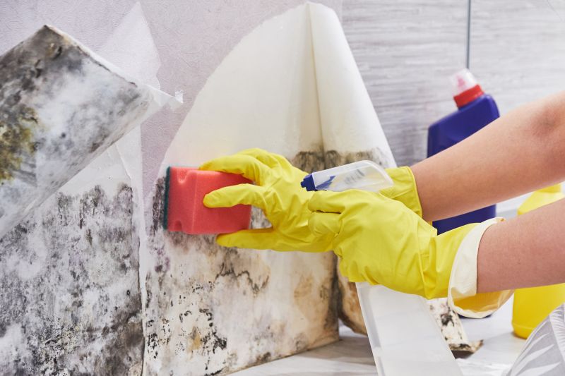Mold Removal in Jupiter, FL
