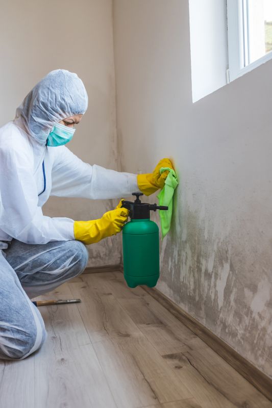 Mold Restoration in Fort Worth, TX