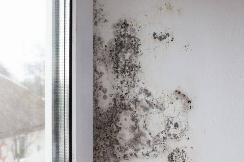 Mold Treatment Service in West Palm Beach, FL