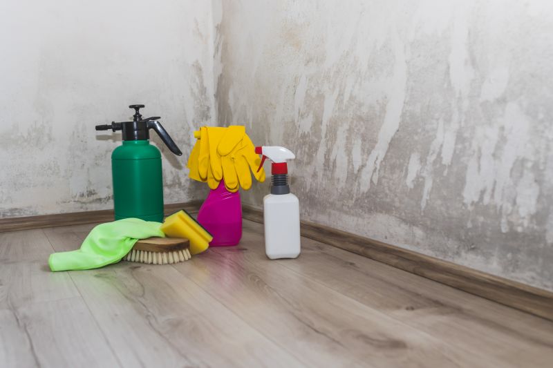 Attic Mold Remediation in Dallas, TX