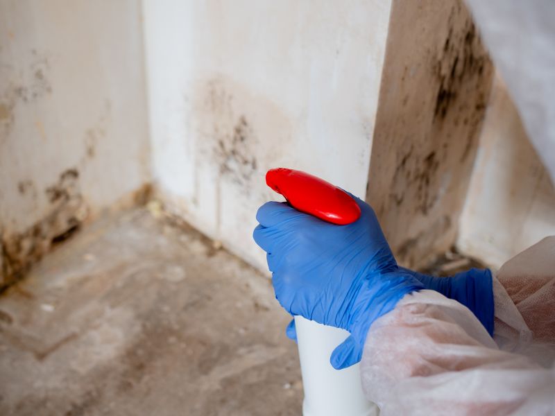 Attic Mold Remediation in Fort Worth, TX