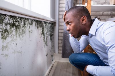 Black Mold Removal in Pompano Beach, FL