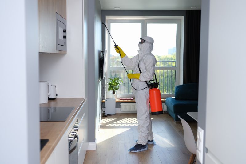 Mold Abatement Service in Dallas, TX